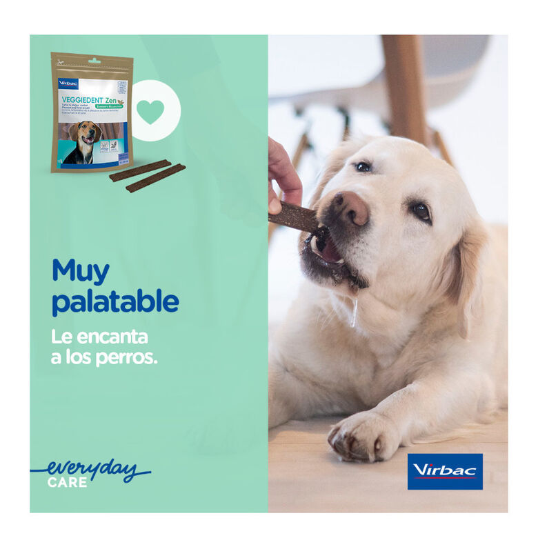 Virbac Láminas Veggiedent Zen S para perros thumbnail