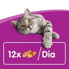 Whiskas Temptations Snacks Salmón para Gatos, , large image number null
