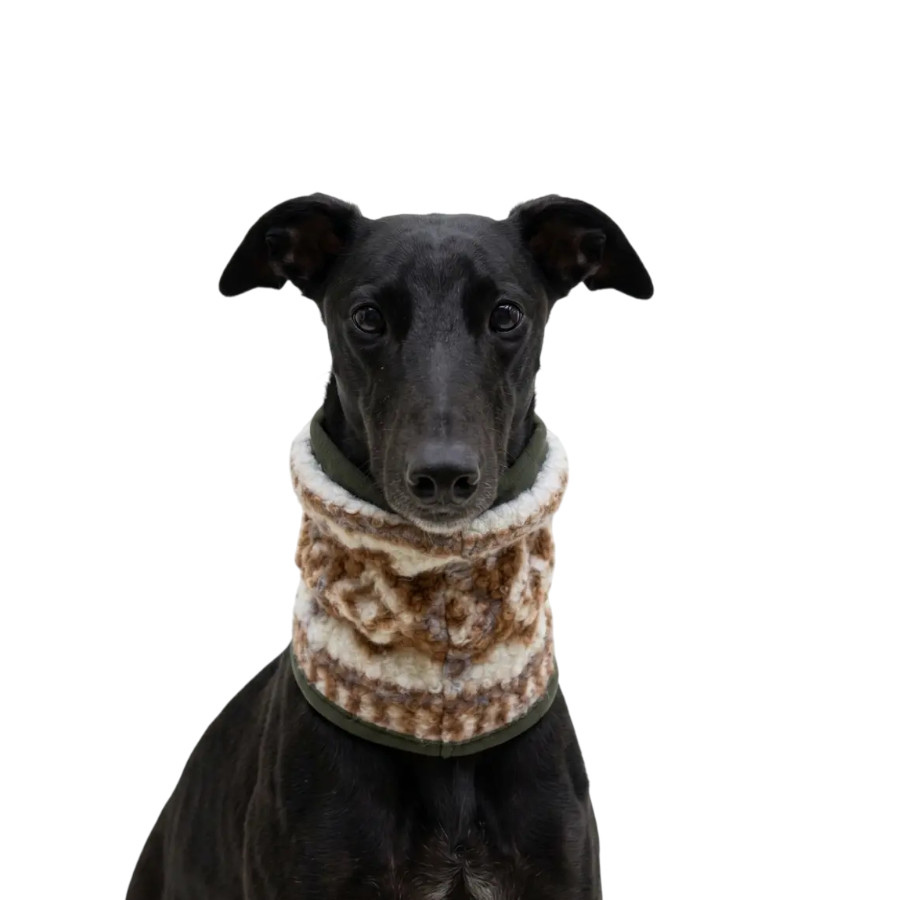Gotoo Bufanda Estampado Retro para perros, , large Imagen numero 7