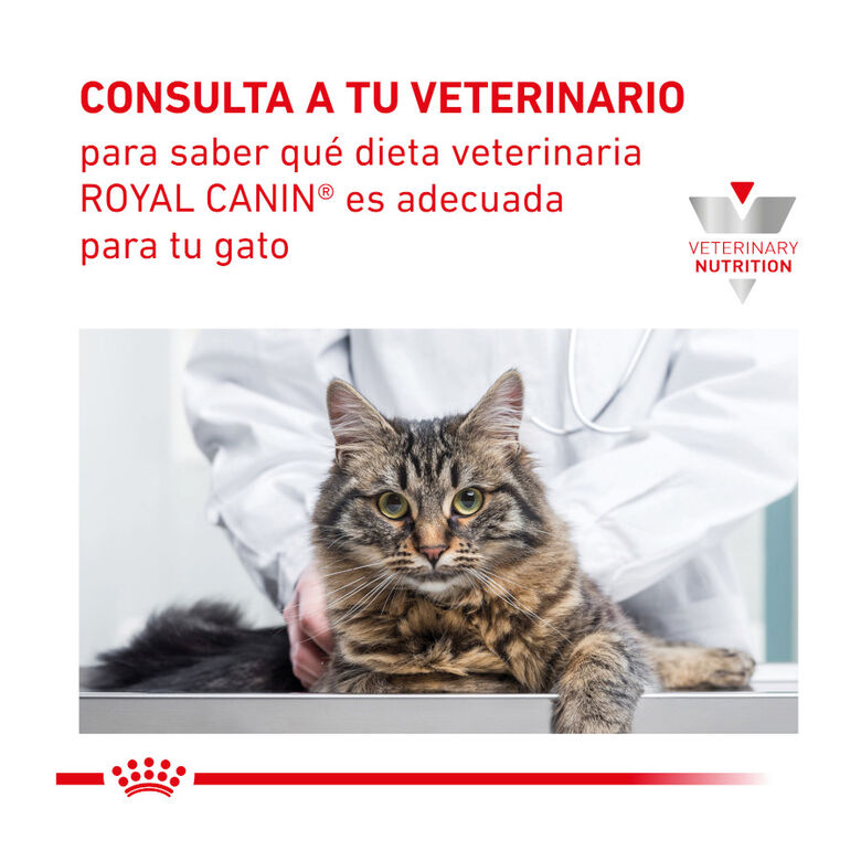 Royal Canin Veterinary Renal Select pienso para gatos thumbnail