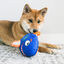 Kong Reefz Peluche para perros, , large indicador imagen numero 4