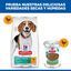 363 g Hill's Adult Perfect Weight Pollo y Vegetales lata para perros, , large indicador imagen numero 6
