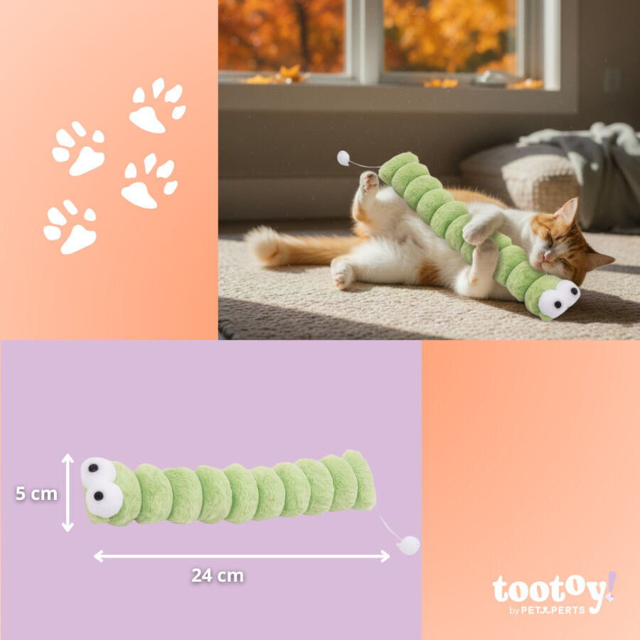 Tootoy! Gusano de Peluche Suave Verde para gatos, , large Imagen numero 4