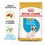 10 kg Royal Canin Puppy French Bulldog pienso para perros, , large indicador imagen numero 2