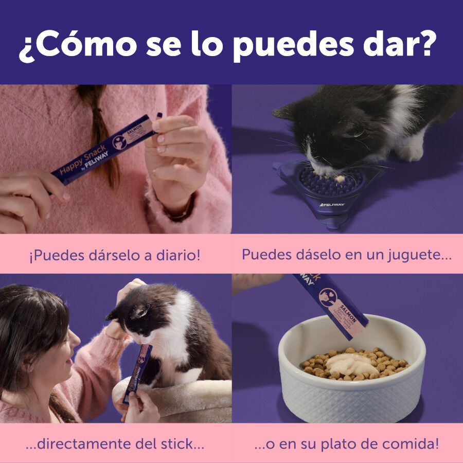 24 barritas Feliway Ceva Happy Snack Salm&oacute;n para gatos, , large Imagen numero 6