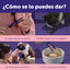 24 barritas Feliway Ceva Happy Snack Salm&oacute;n para gatos, , large indicador imagen numero 6