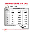 Royal Canin Veterinary Gastrointestinal Fibre Response pienso para gatos, , large image number null