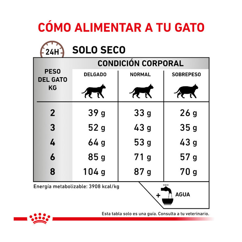 4 kg Royal Canin Veterinary Gastrointestinal Fibre Response pienso para gatos,  Imagen numero 8 4 kg Royal Canin Veterinary Gastrointestinal Fibre Response pienso para gatos, , large Imagen numero 8