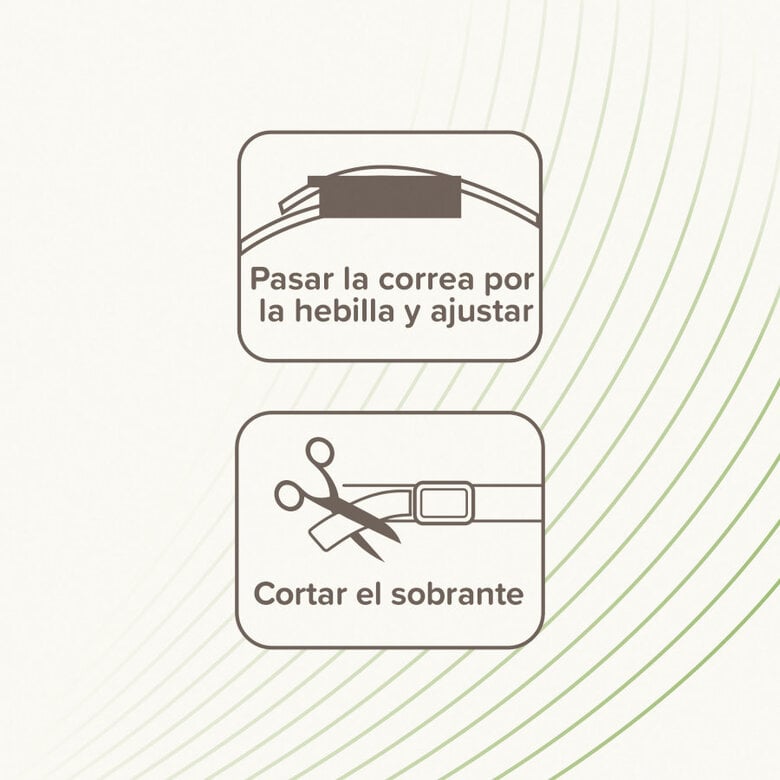 Beaphar Collar repelente para perros,  Imagen numero 5 Beaphar Collar repelente para perros, , large Imagen numero 5