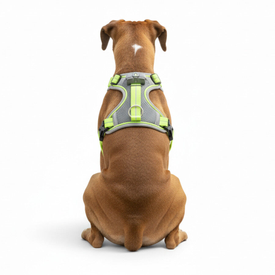 All For Paws K-Nite Arnés con Luz para perros thumbnail