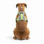 All For Paws K-Nite Arn&eacute;s con Luz para perros, , large indicador imagen numero 3