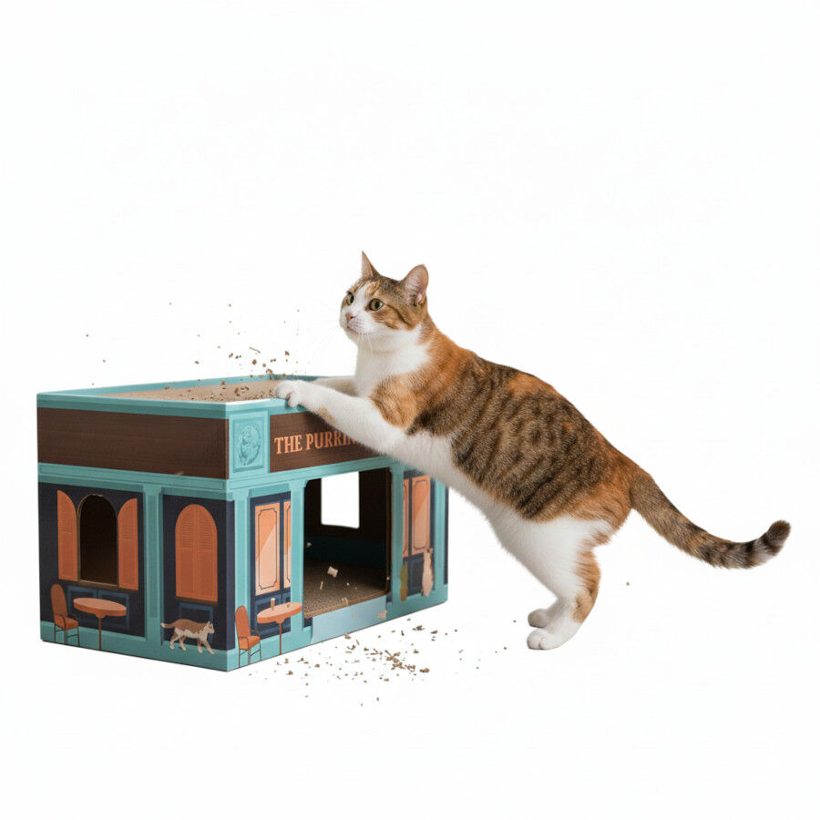 All For Paws Vintage Rascador Pint Scratcher para gatos thumbnail