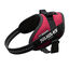Julius K-9 IDC Arnés Magenta para perros, , large indicador imagen numero 1