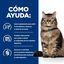 82 g Hill's Prescription Diet Gastrointestinal Biome Estofado de Pollo lata para gatos, , large indicador imagen numero 3