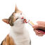Catit Creamy Snack Líquido de Pollo, Cordero para gatos, , large indicador imagen numero 3