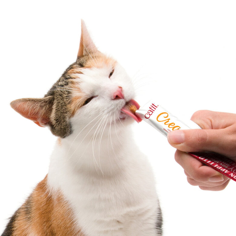 4 sobres x 10 g Catit Creamy Snack Líquido de Salmón con Gambas para gatos,  Imagen numero 3 4 sobres x 10 g Catit Creamy Snack Líquido de Salmón con Gambas para gatos, , large Imagen numero 3