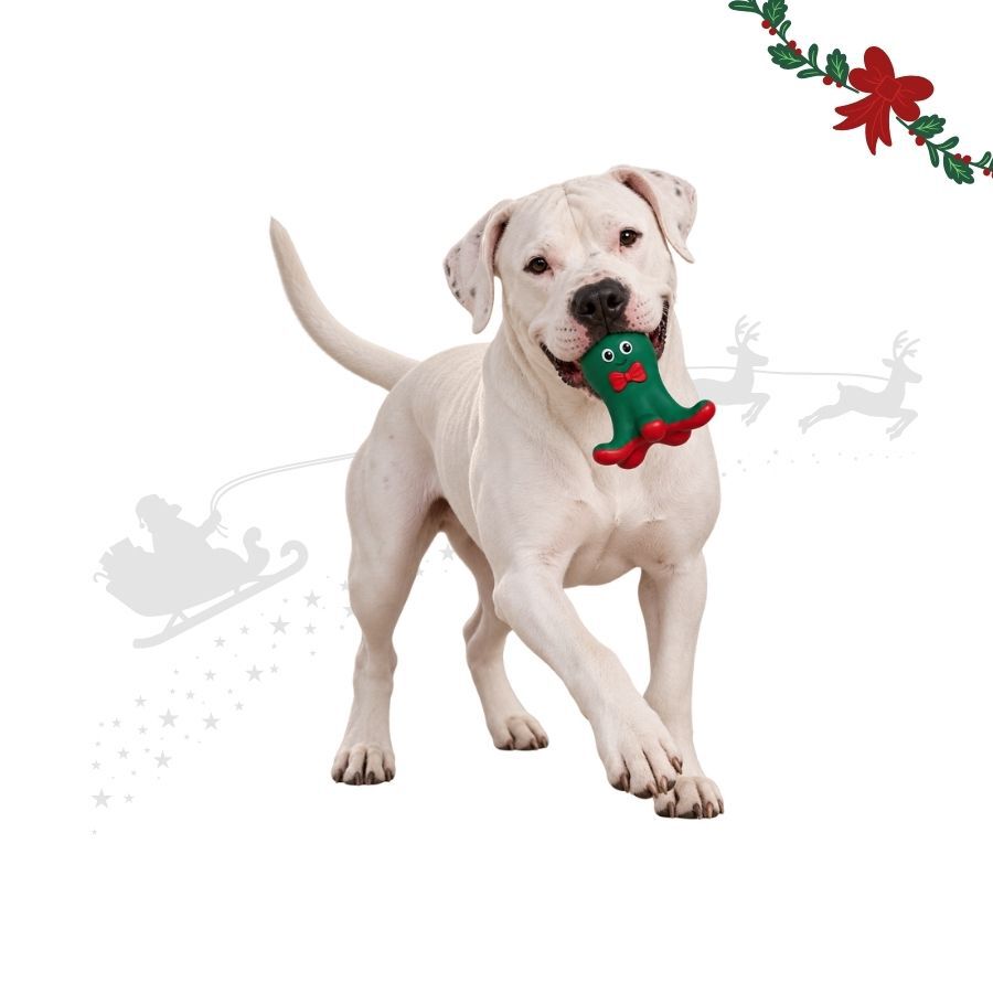 Wonder Christmas Pulpo L&aacute;tex Juguete para perros, , large Imagen numero 1