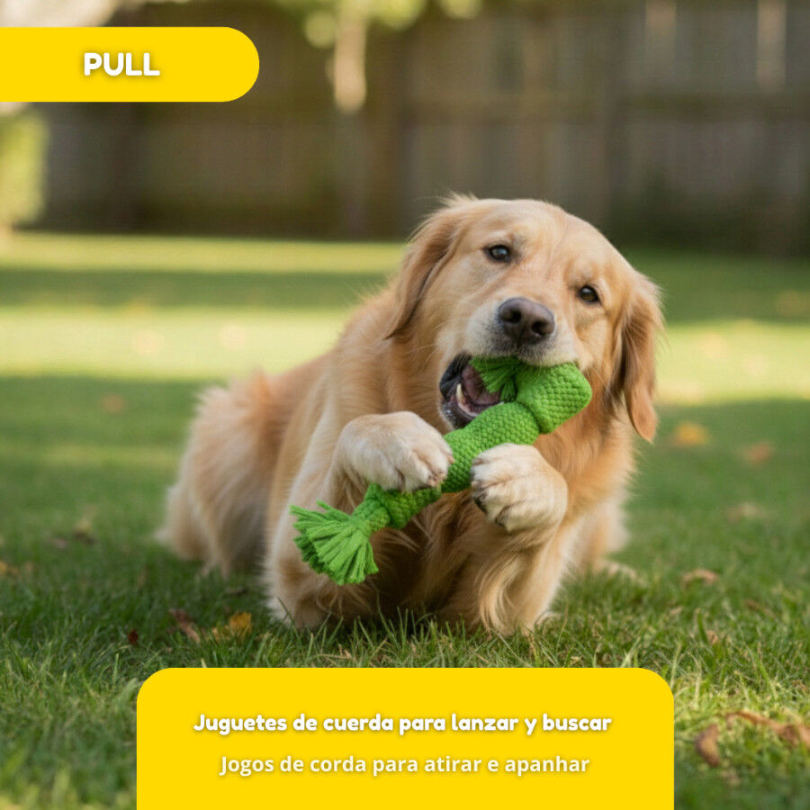 Tootoy! Hueso Mordedor de Cuerda Verde para perros, , large Imagen numero 6