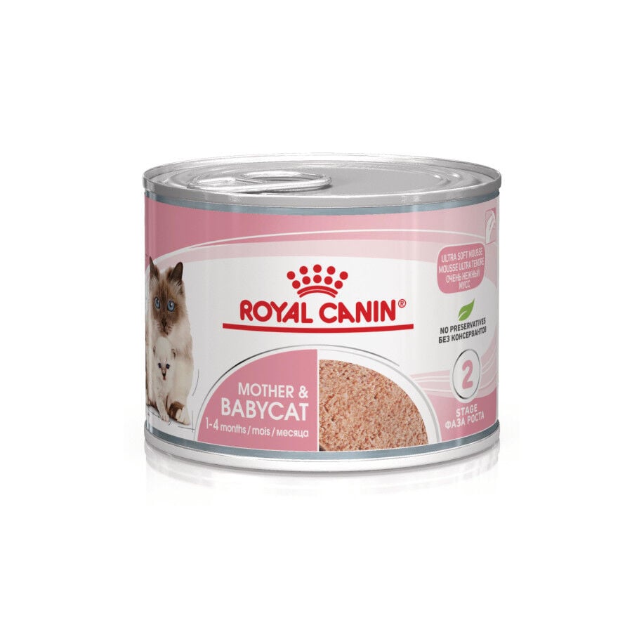 Royal Canin Mother & Baby mousse latas para gatos