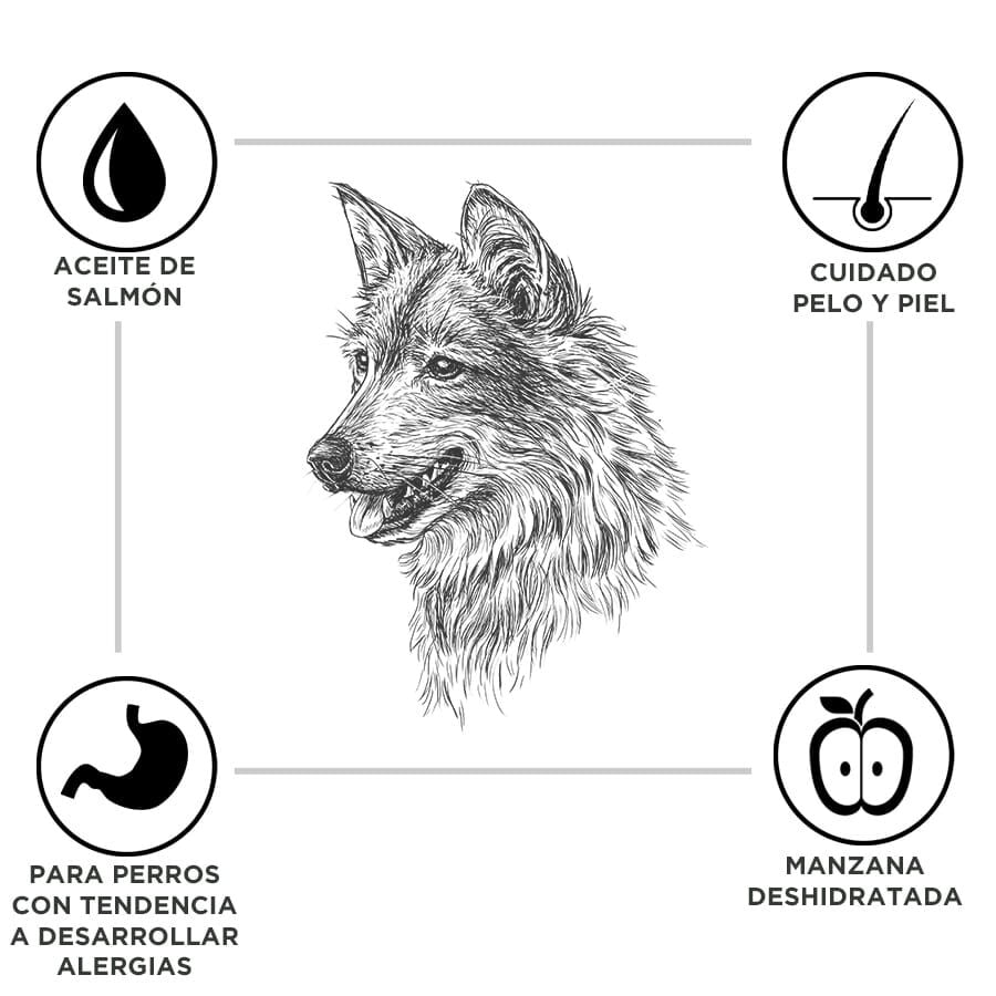 15 kg Criadores Adulto Cordero y Arroz pienso para perros de razas mediana y grande, , large Imagen numero 3