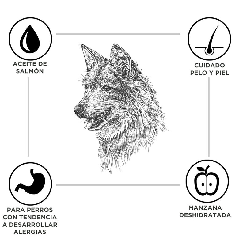 3 kg Criadores Adulto Cordero y Arroz pienso para perros de razas mediana y grande,  Imagen numero 2 3 kg Criadores Adulto Cordero y Arroz pienso para perros de razas mediana y grande, , large Imagen numero 2