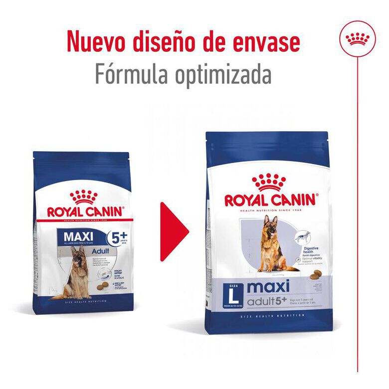15 kg Royal Canin Maxi Adult 5+ pienso para perros senior de raza grande, , large Imagen numero 2