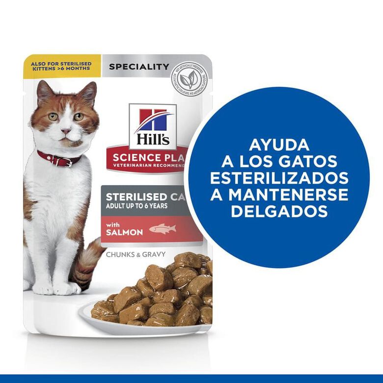 Hill&#039;s Science Plan Sterilized Young Adult Salmón sobre para gatos thumbnail