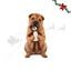 Wonder Christmas Amigo Oso XL Peluche para perros, , large indicador imagen numero 1