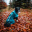 Non-stop Dogwear Chubasquero Impermeable Azul y Verde para perros, , large indicador imagen numero 2