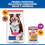 14 kg Hill's Science Plan Mature Adult Medium Cordero pienso para perros, , large indicador imagen numero 7