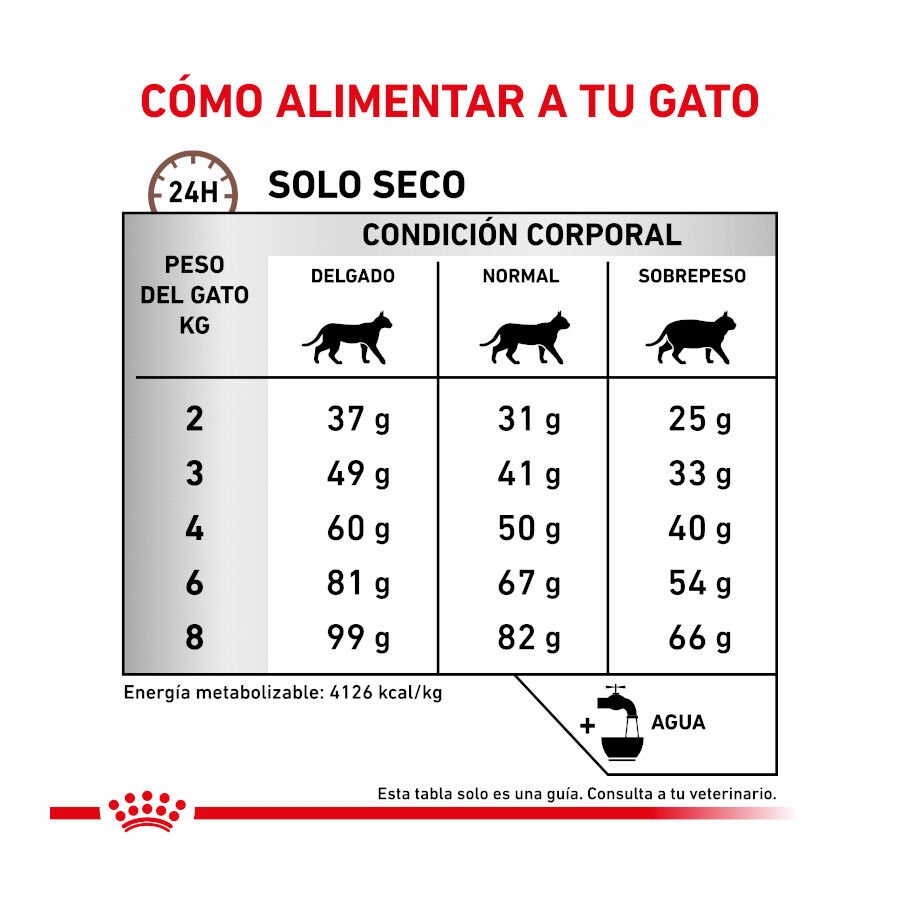 Royal Canin Veterinary Hepatic pienso para gatos thumbnail