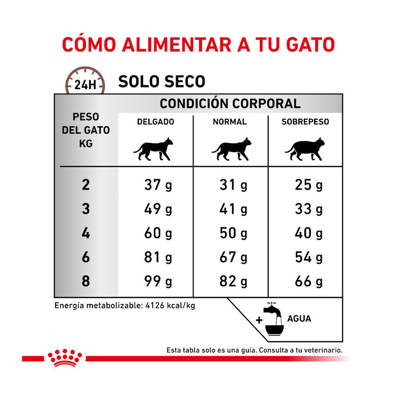 Royal Canin Veterinary Hepatic pienso para gatos thumbnail