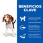 370 g Hill's Science Plan Puppy Ternera en Paté lata para perros, , large indicador imagen numero 5