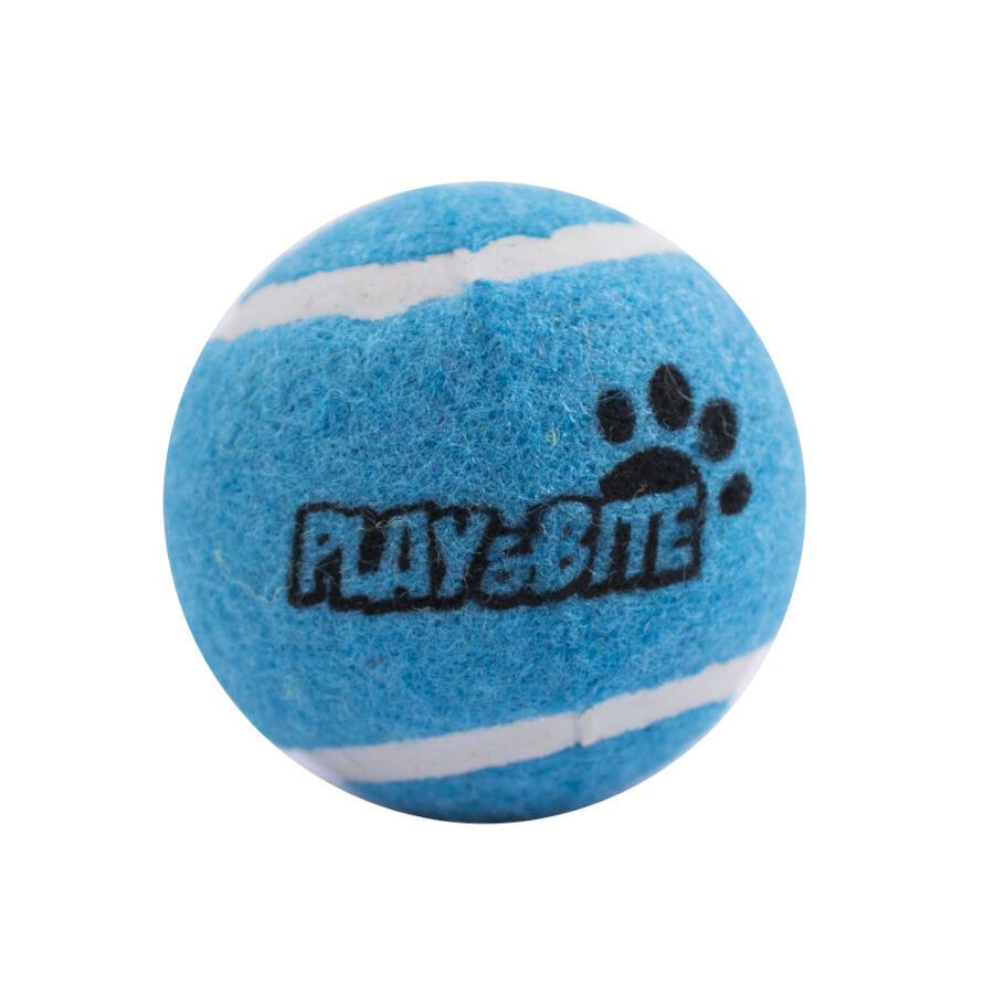 Play & Bite Pelota de Tenis Azul para perros, , large Imagen numero 1