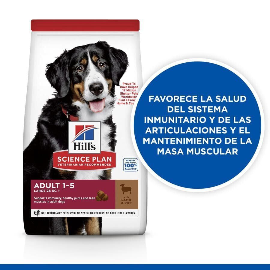 Hill&#039;s Science Plan Adult Large Cordero pienso para perros thumbnail