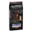Pro Plan Large Athletic Adult Salmón piel sensible pienso para perros, , large indicador imagen numero 1