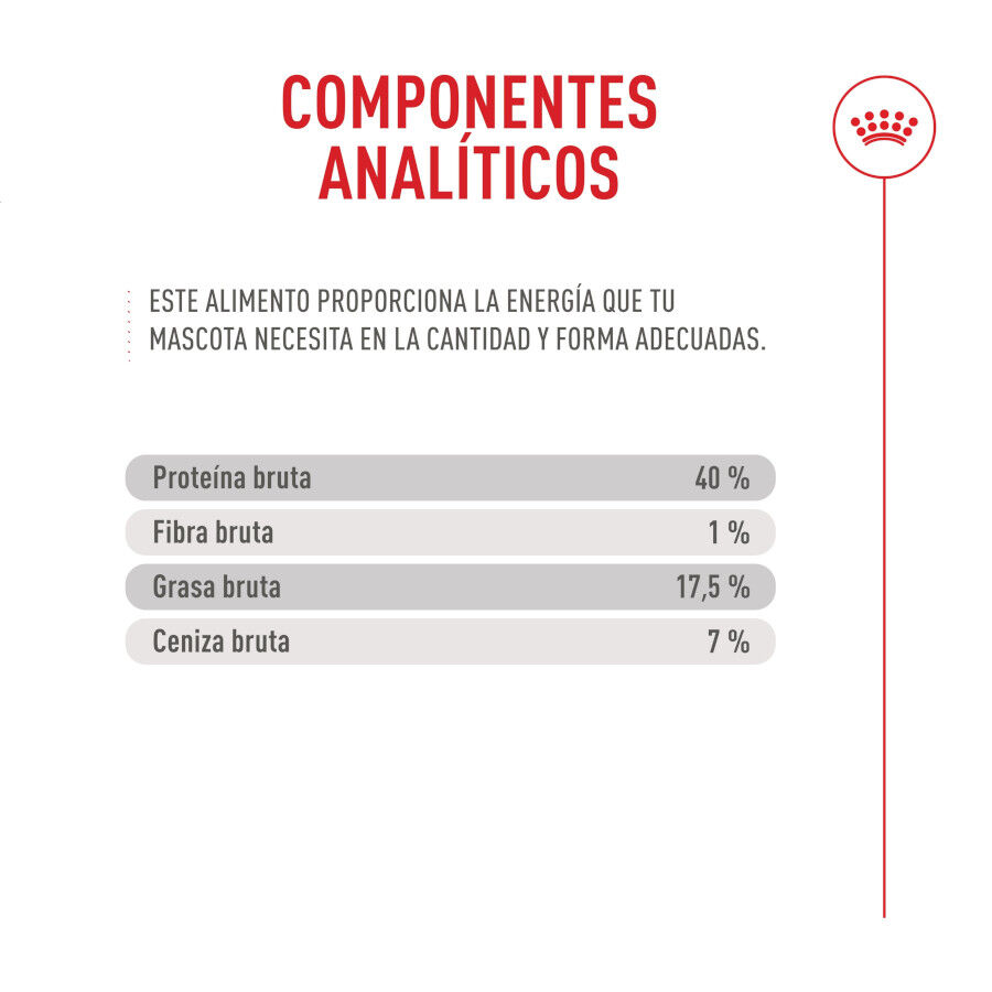 Royal Canin Fussy Exigent Pienso para gatos thumbnail