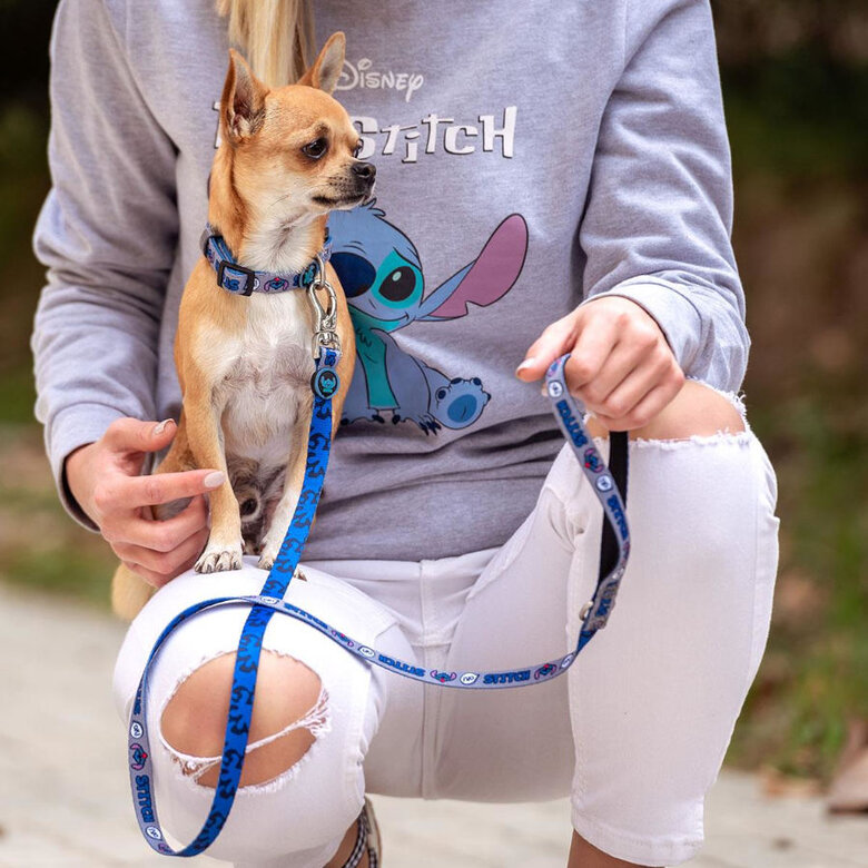 Disney Premium Stitch collar para perros, , large image number null