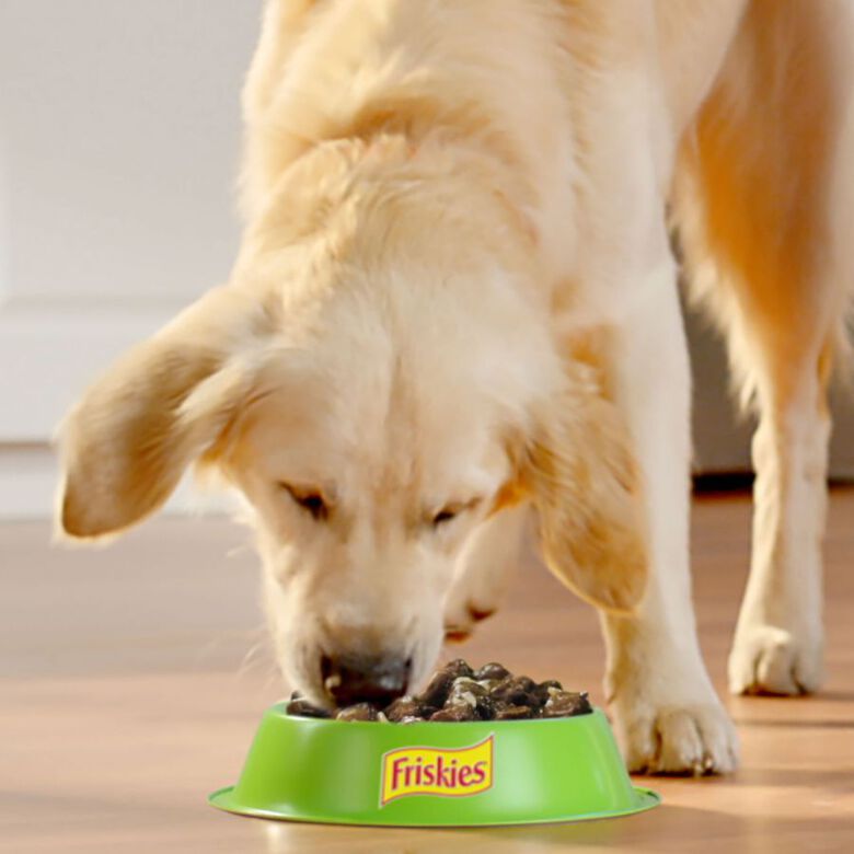 Friskies Carne en Salsa sobre para perros thumbnail