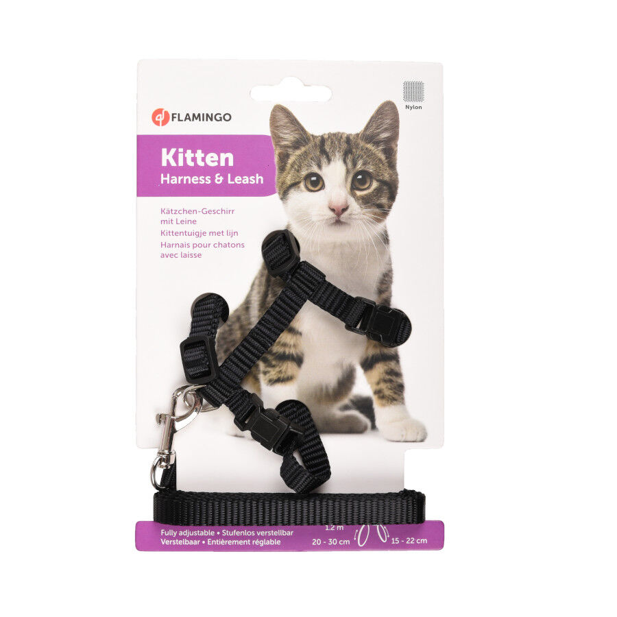 Flamingo Arn&eacute;s con Correa Negro para gatitos, , large Imagen numero 3