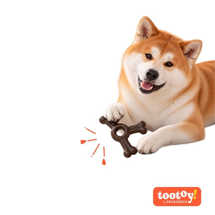 Tootoy! Chew Hueso Bisonte Juguete para perros, , large Imagen numero 7