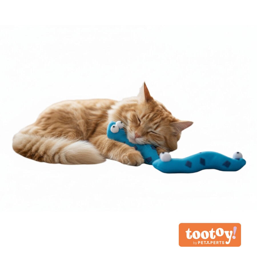 Tootoy! Pack de 2 Serpientes de Tela con Catnip Azules para gatos thumbnail