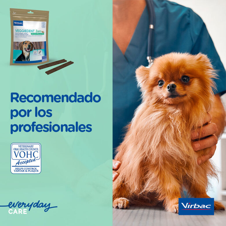 Virbac Láminas Veggiedent Zen M para perros thumbnail