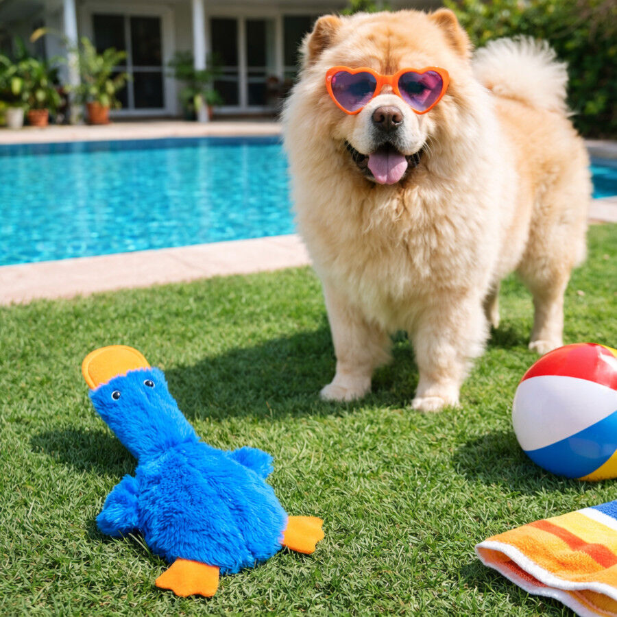 Summer Vibes Pato Dolce Vita Peluche Juguete para perros, , large Imagen numero 1
