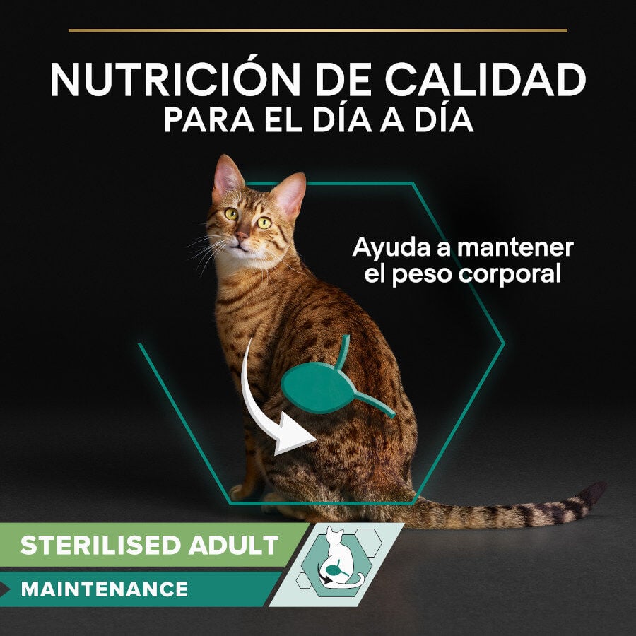 10 sobres x 85 g Pro Plan Adult Sterilised Maintenance Pollo y Buey en Salsa sobre para gatos, , large Imagen numero 2
