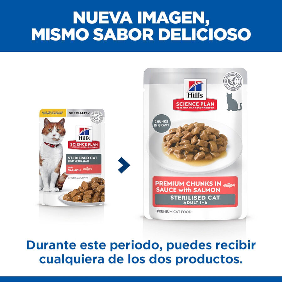 85 g Hill's Science Plan Sterilized Young Adult Salm&oacute;n sobre para gatos, , large Imagen numero 2