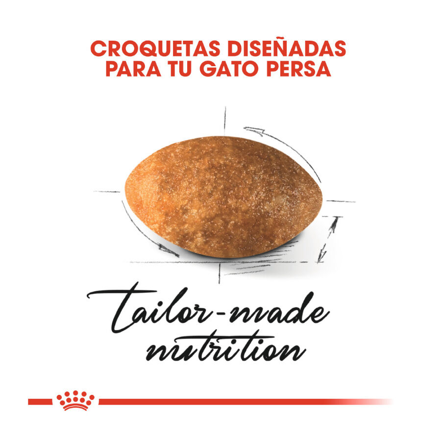 Royal Canin Persian pienso para gato adulto persa thumbnail