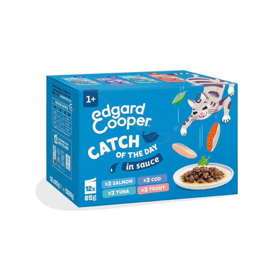 12 x 85 g Edgard & Cooper Selecci&oacute;n Captura del D&iacute;a sobre en salsa para gatos, , large Imagen numero 1