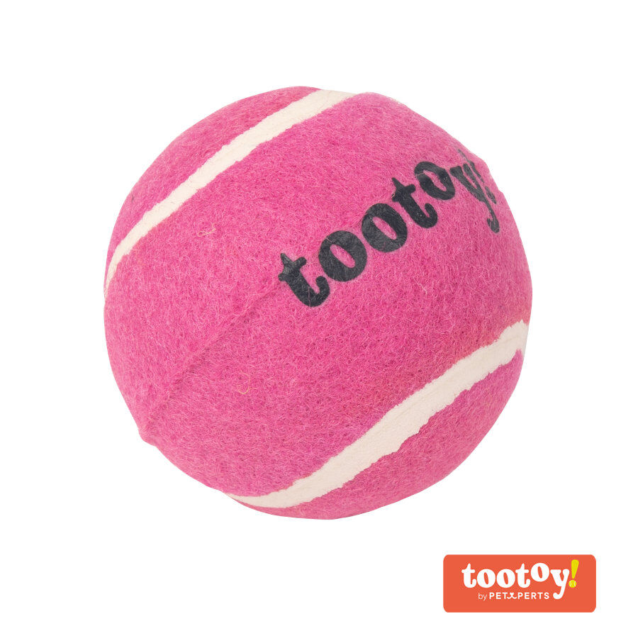Tootoy! Chase Squeaker Ball Rosa pelota de tenis para perros, , large Imagen numero 1