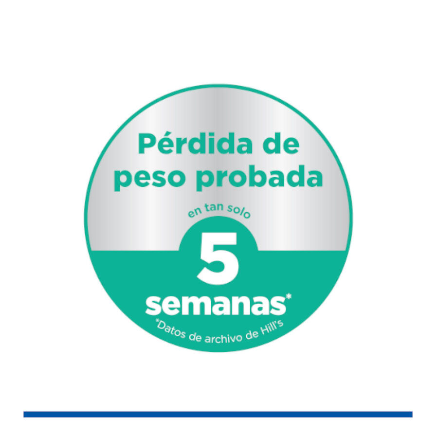 6 kg Hill's Science Plan Perfect Weight Adult Small y Mini pienso para perros, , large Imagen numero 4